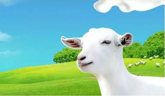 首页-MG视讯厅真人官方网站