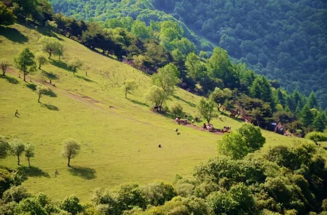 首页-MG视讯厅真人官方网站