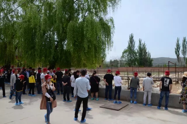 首页-MG视讯厅真人官方网站