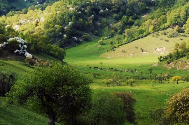 首页-MG视讯厅真人官方网站