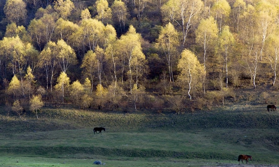 首页-MG视讯厅真人官方网站