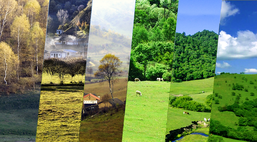 首页-MG视讯厅真人官方网站