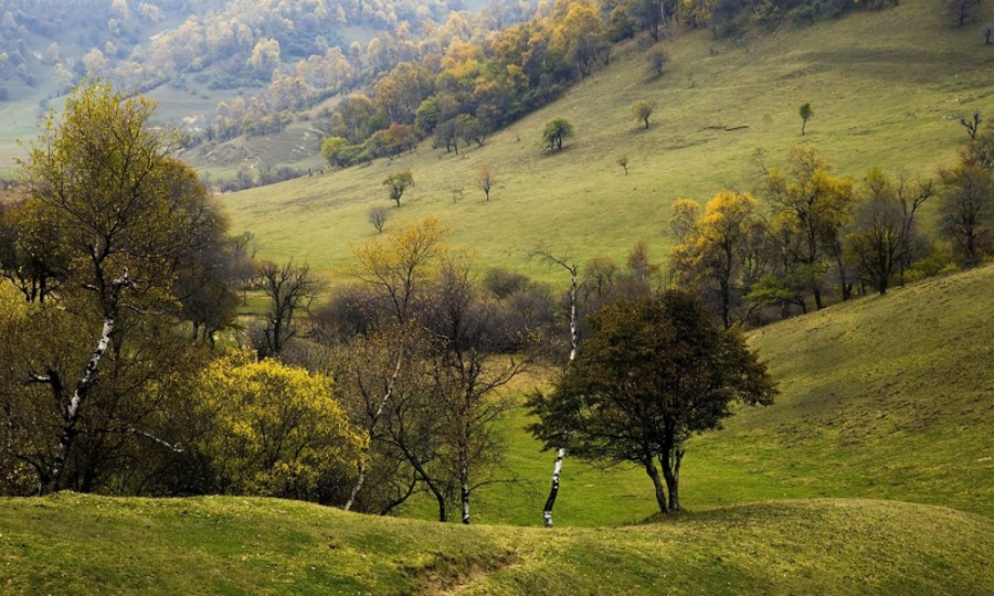 首页-MG视讯厅真人官方网站