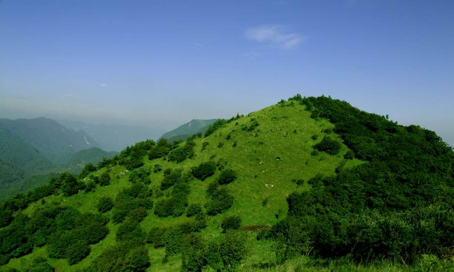 首页-MG视讯厅真人官方网站