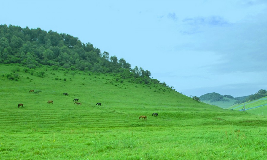 首页-MG视讯厅真人官方网站