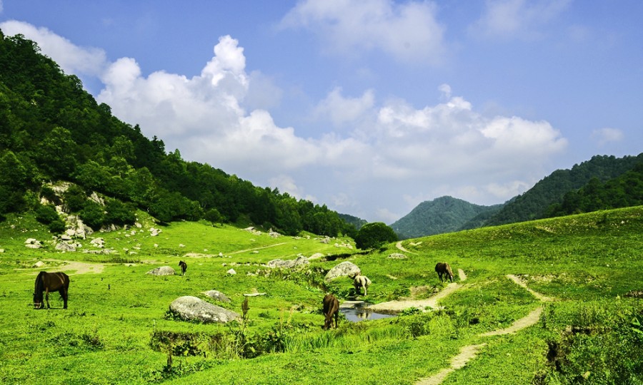 首页-MG视讯厅真人官方网站