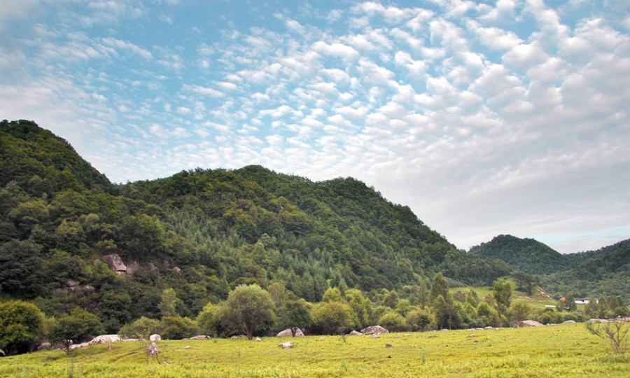 首页-MG视讯厅真人官方网站