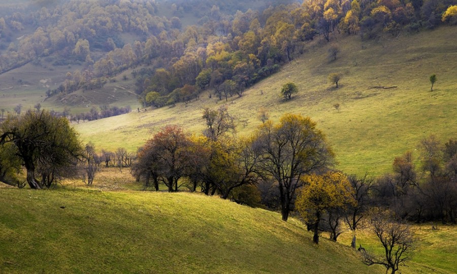 首页-MG视讯厅真人官方网站