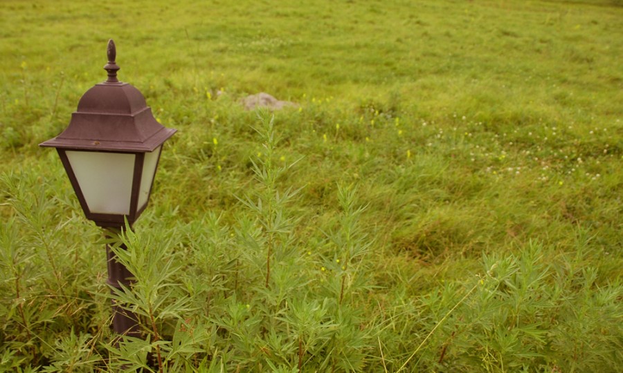 首页-MG视讯厅真人官方网站