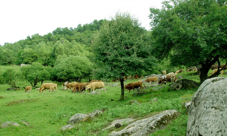 首页-MG视讯厅真人官方网站