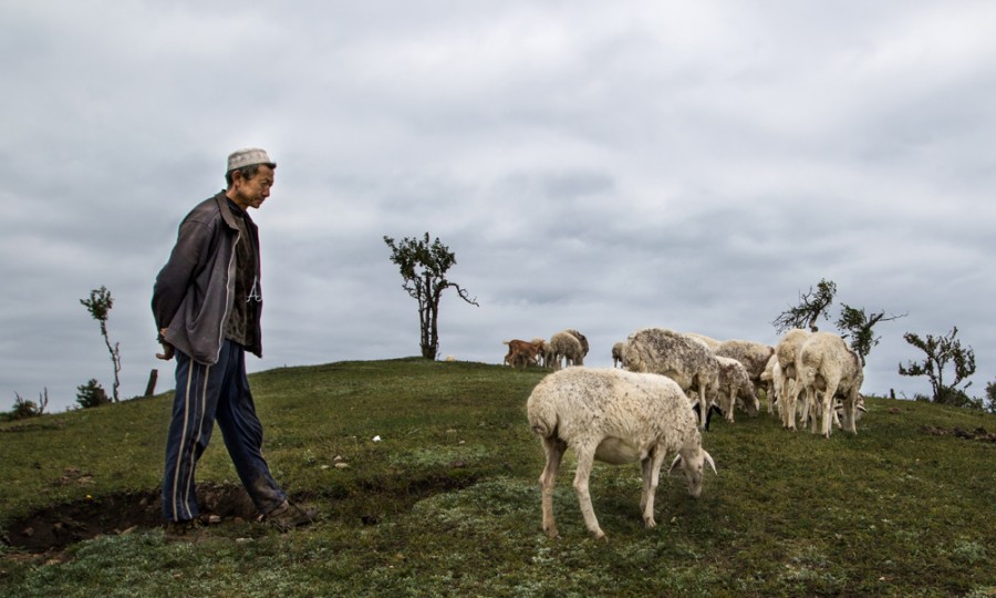 首页-MG视讯厅真人官方网站