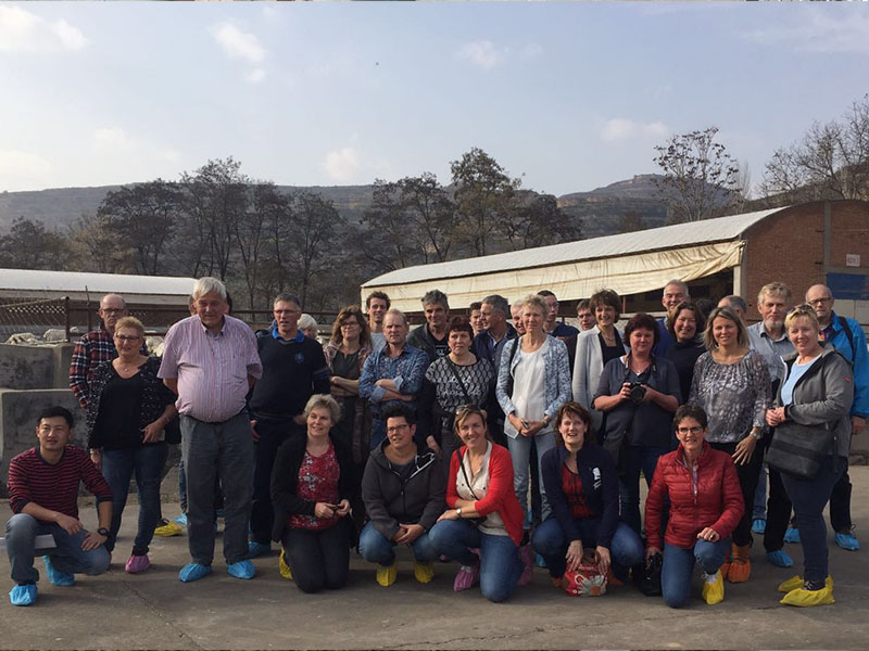 首页-MG视讯厅真人官方网站