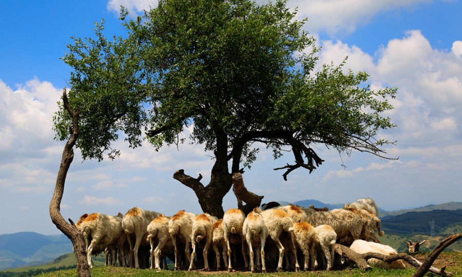 首页-MG视讯厅真人官方网站