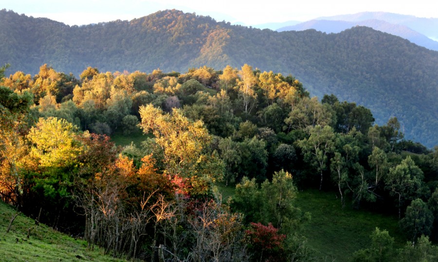 首页-MG视讯厅真人官方网站