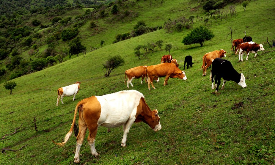 首页-MG视讯厅真人官方网站