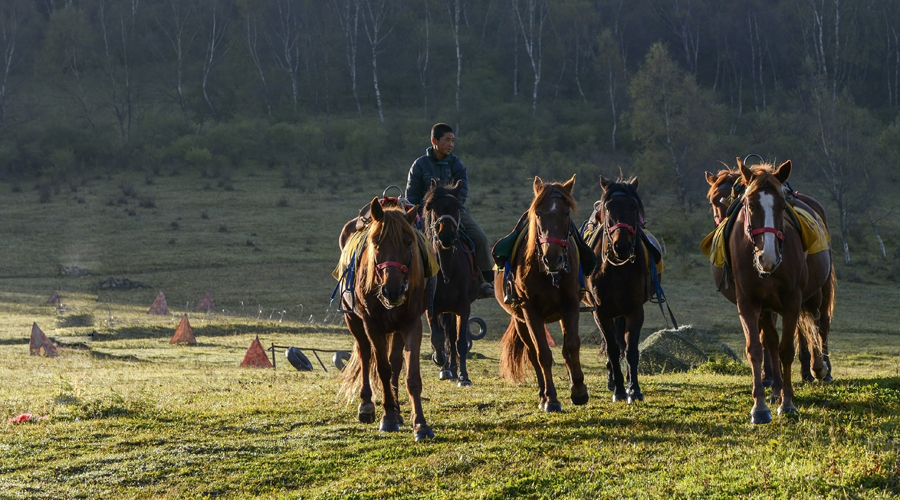首页-MG视讯厅真人官方网站
