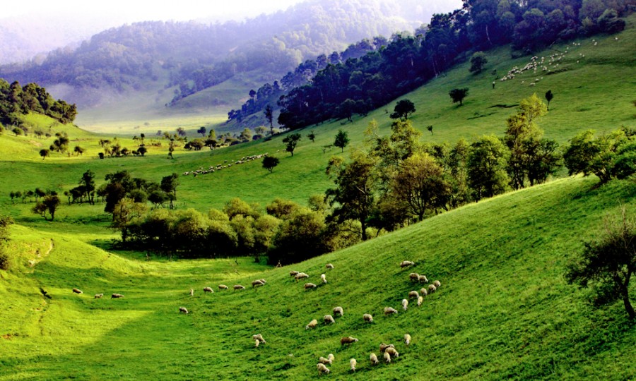 首页-MG视讯厅真人官方网站