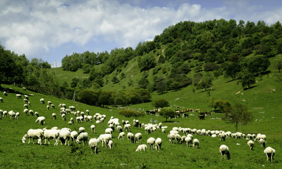 首页-MG视讯厅真人官方网站