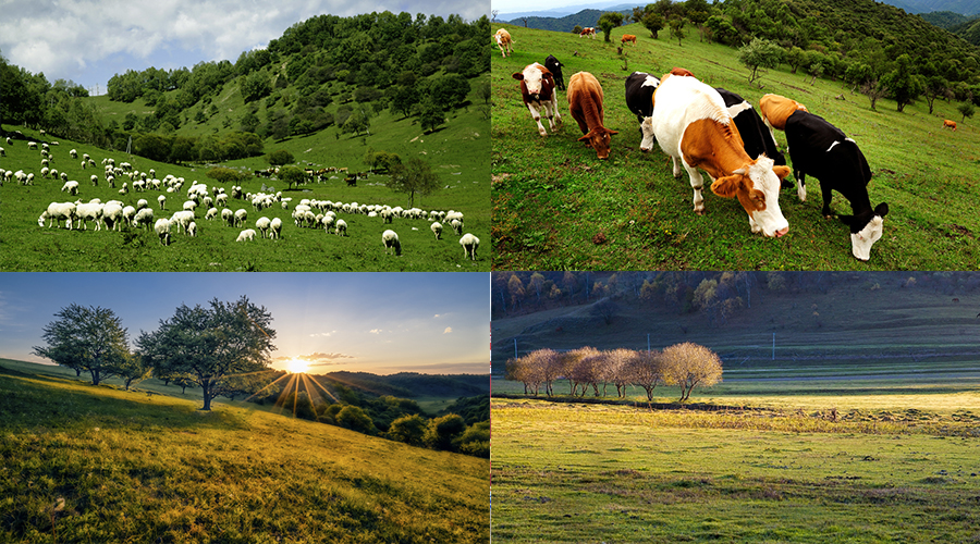 首页-MG视讯厅真人官方网站