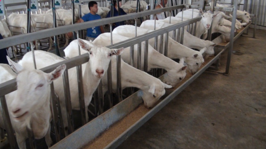 首页-MG视讯厅真人官方网站