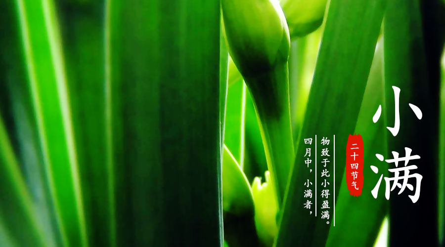 首页-MG视讯厅真人官方网站