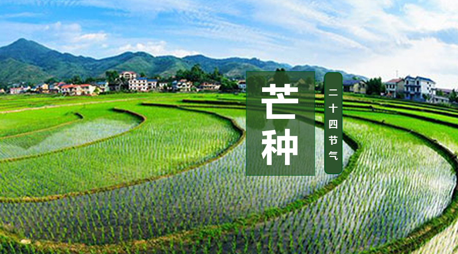 首页-MG视讯厅真人官方网站