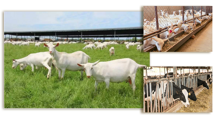 首页-MG视讯厅真人官方网站