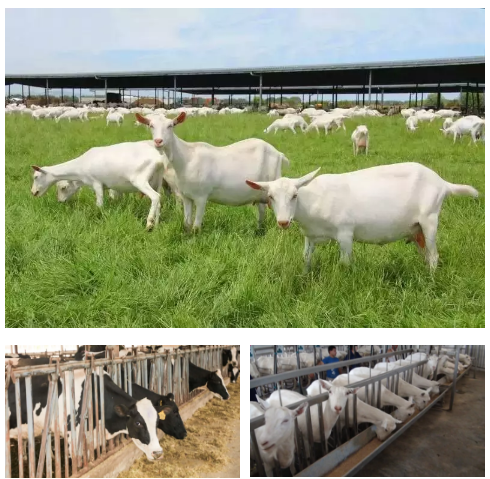 首页-MG视讯厅真人官方网站