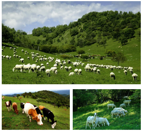 首页-MG视讯厅真人官方网站