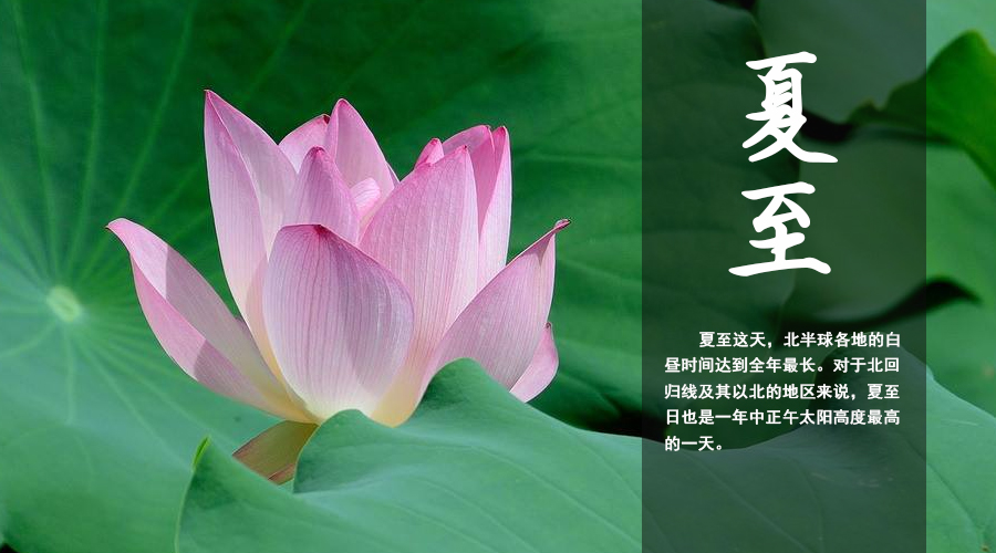 首页-MG视讯厅真人官方网站