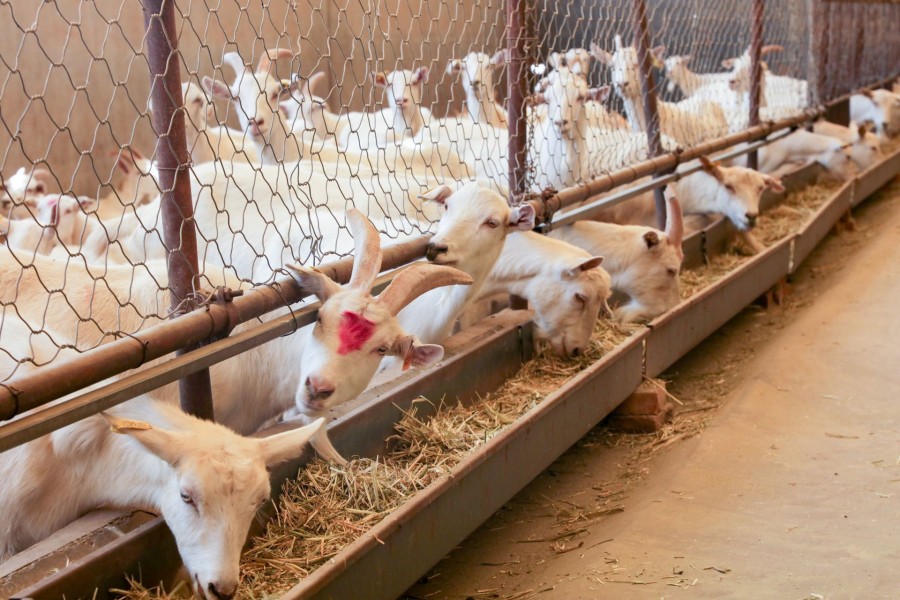 首页-MG视讯厅真人官方网站