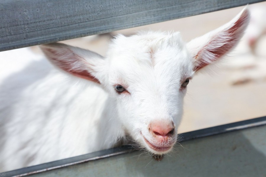 首页-MG视讯厅真人官方网站