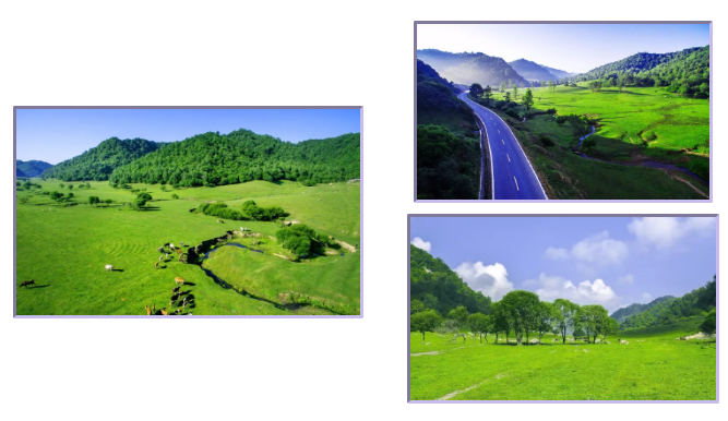 首页-MG视讯厅真人官方网站