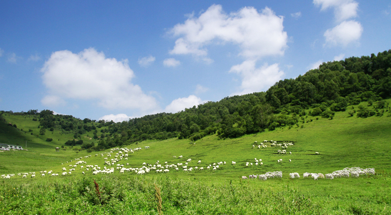 ��ҳ-MG��Ѷ�����˹ٷ���վ