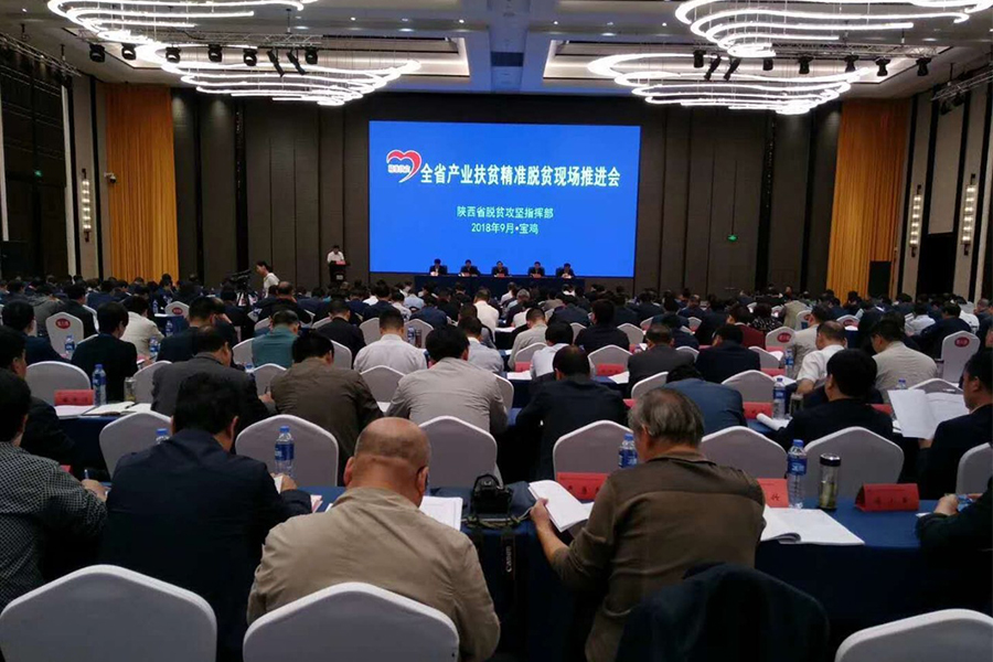 首页-MG视讯厅真人官方网站