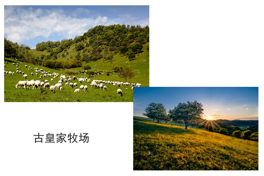 首页-MG视讯厅真人官方网站