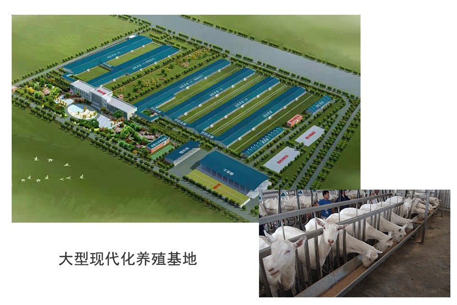 首页-MG视讯厅真人官方网站