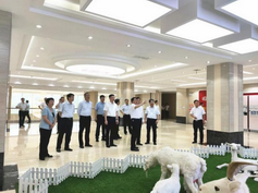 首页-MG视讯厅真人官方网站