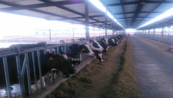 首页-MG视讯厅真人官方网站