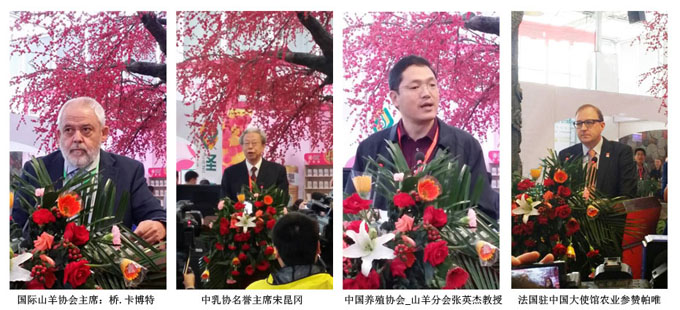 首页-MG视讯厅真人官方网站