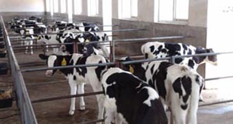 首页-MG视讯厅真人官方网站