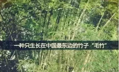 首页-MG视讯厅真人官方网站