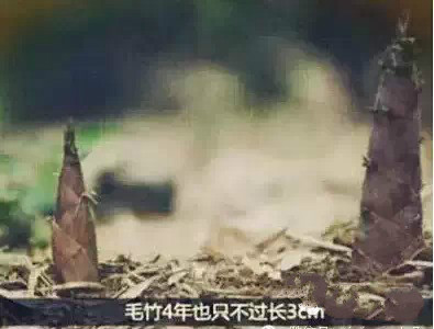 首页-MG视讯厅真人官方网站