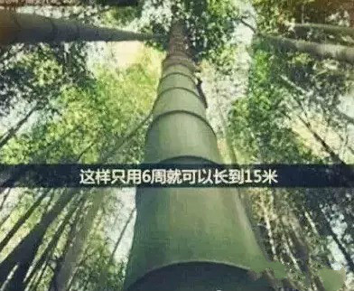 首页-MG视讯厅真人官方网站