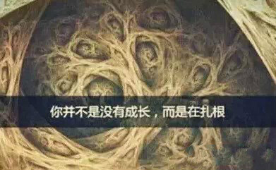 首页-MG视讯厅真人官方网站