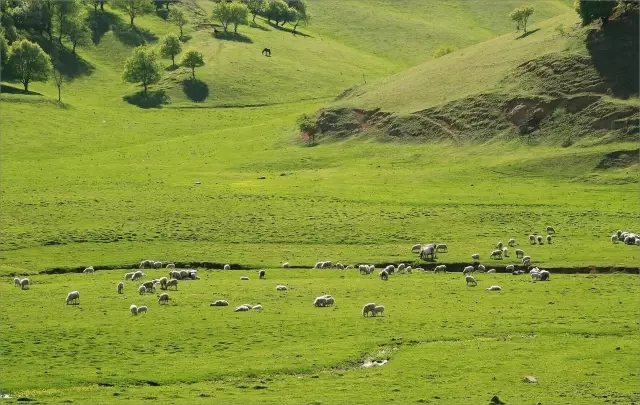 首页-MG视讯厅真人官方网站