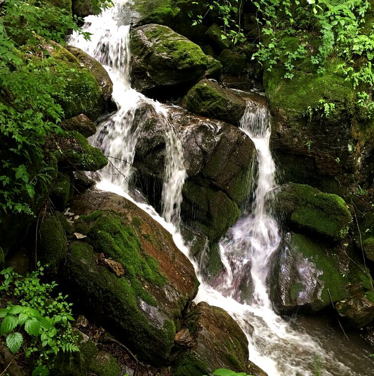 首页-MG视讯厅真人官方网站