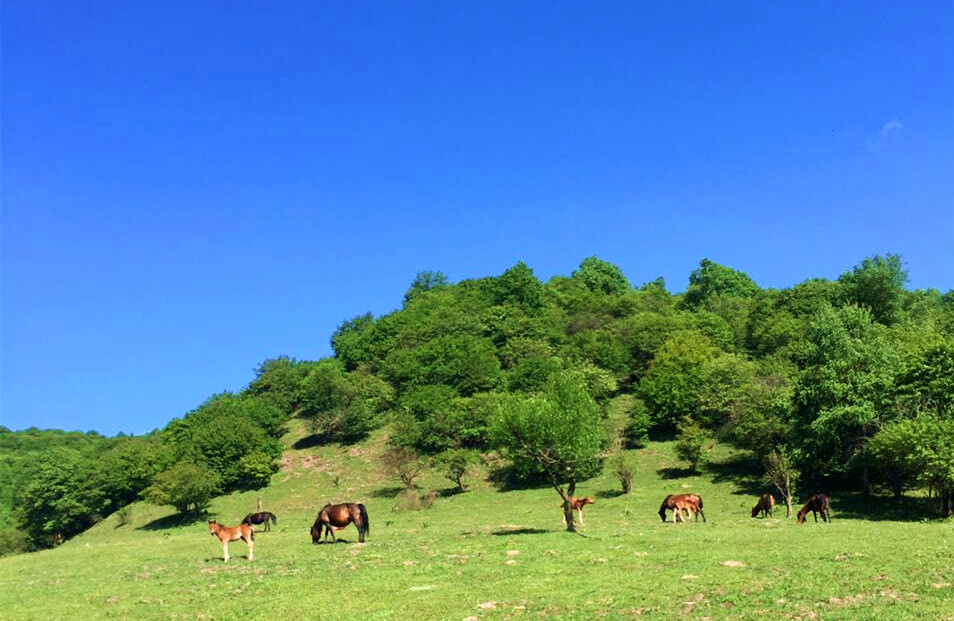 首页-MG视讯厅真人官方网站