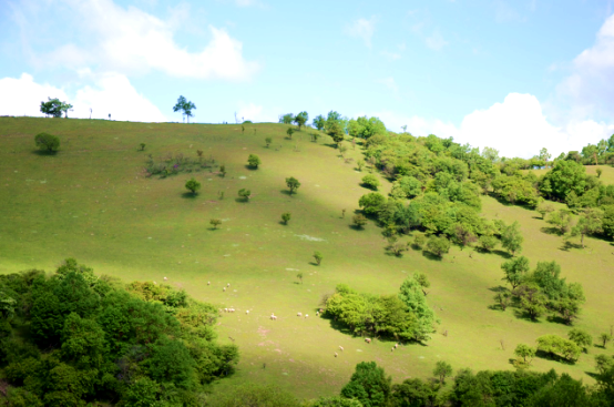 首页-MG视讯厅真人官方网站