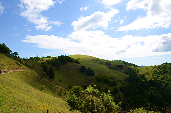 首页-MG视讯厅真人官方网站